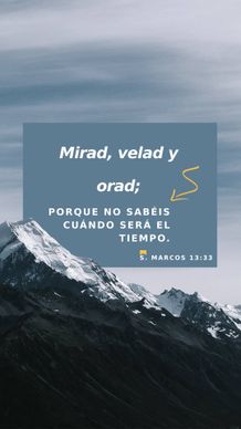 24 de enero - Vertical