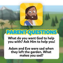Parent Questions