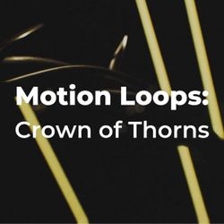 Motion Loops: Crown of Thorns