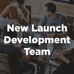 New Launch Development Team: Team Overview