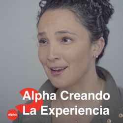 Creando la experiencia