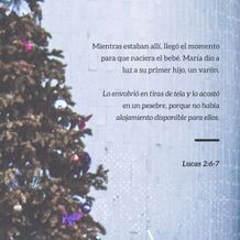 22 de diciembre - Plaza 2