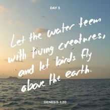 Creation Series Day 5
