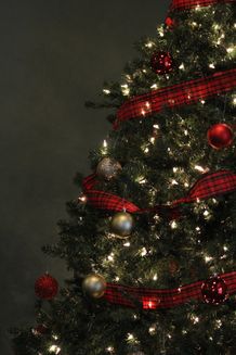 Christmas Tree 8