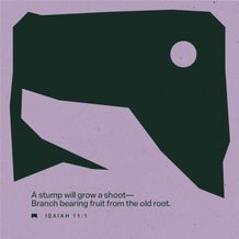 December 14 - Square