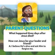 Parent Questions