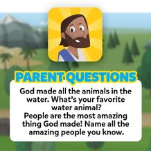 Parent Questions