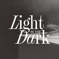 Light in the Dark - Switch
