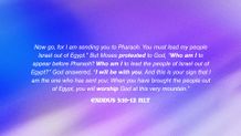 Exodus 3:10-12