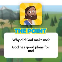 The Point