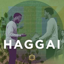 The Book of Haggai