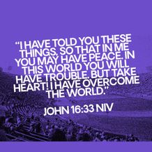 Text Quote