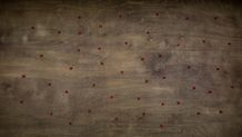 Photo 3 - Point Background