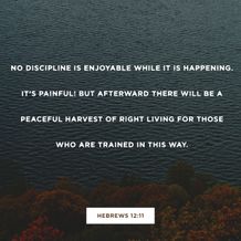 Hebrews 12:11