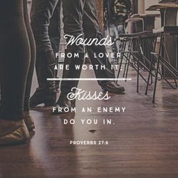 Proverbs 27:6