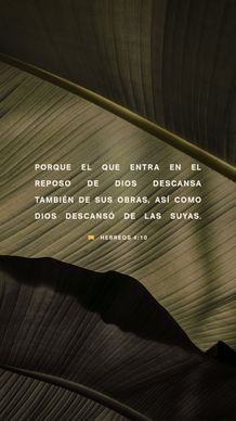 13 de febrero - Vertical