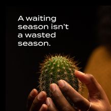 Instagram Square Quote 1