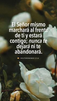 November 16 - Vertical - Spanish