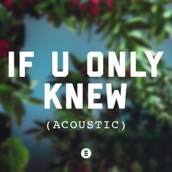 If U Only Knew (Acoustic)