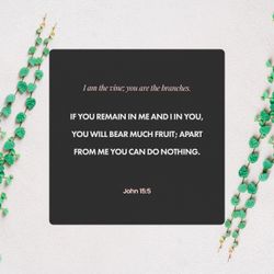 John 15:5