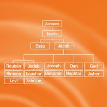 Genealogy Diagram 
