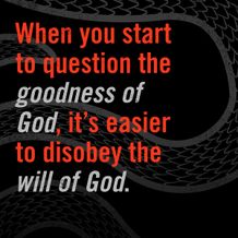 Week 1 Quote 1