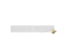 L3 Secondary