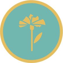 Icon (PNG)