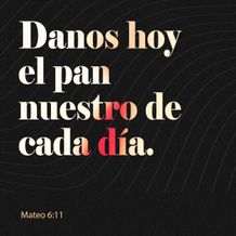 02 de febrero - Plaza