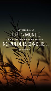 27 de enero - Vertical