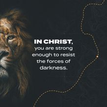 Instagram Square Quote 2