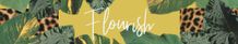 Email Header