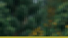Scenic Image 2