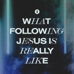 What Following Jesus Is Really Like - Switch