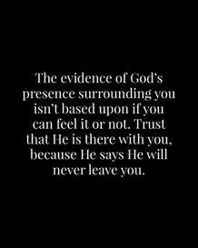 Image 08