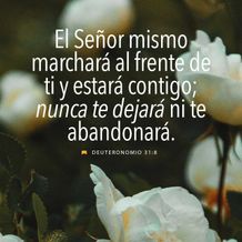 November 16 - Square - Spanish