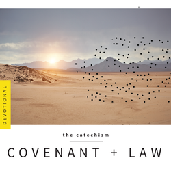 Covenant + Law