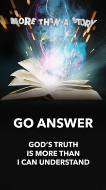 Go Answer 1