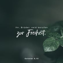 Galatians 5:13