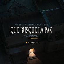 22 de febrero - Plaza