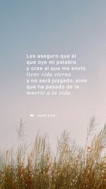 11 de febrero - Vertical