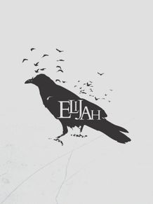 Banner 2