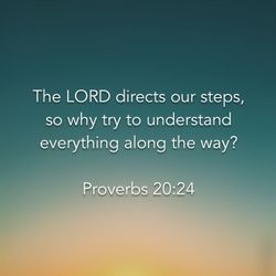 Proverbs 20:24