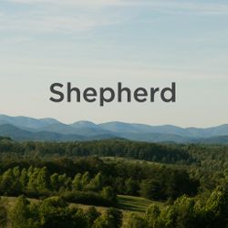 Shepherd