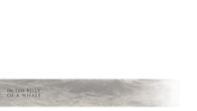 Slide - Lower Third