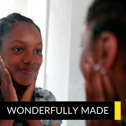 Wonderfully Made