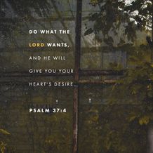 Psalm 37:4