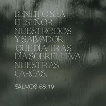 November 12 - Square - Spanish
