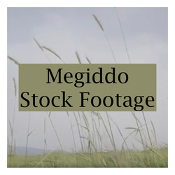 Megiddo Stock Footage (MOV)