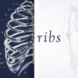 Ribs
